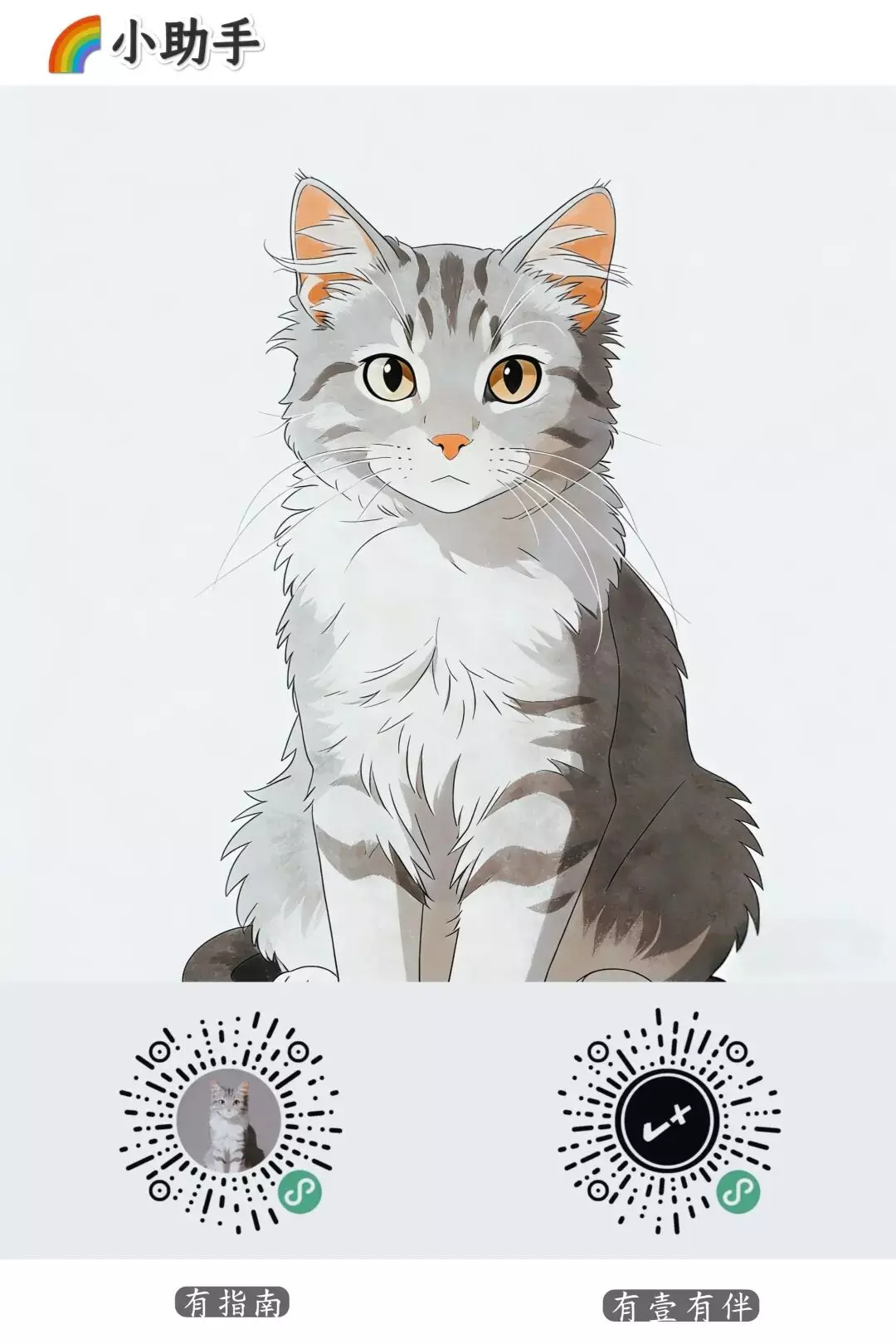 图片[7]-上海重庆天津彩虹常去的地方有哪些周末去哪?-潮男潮北-潮男潮北