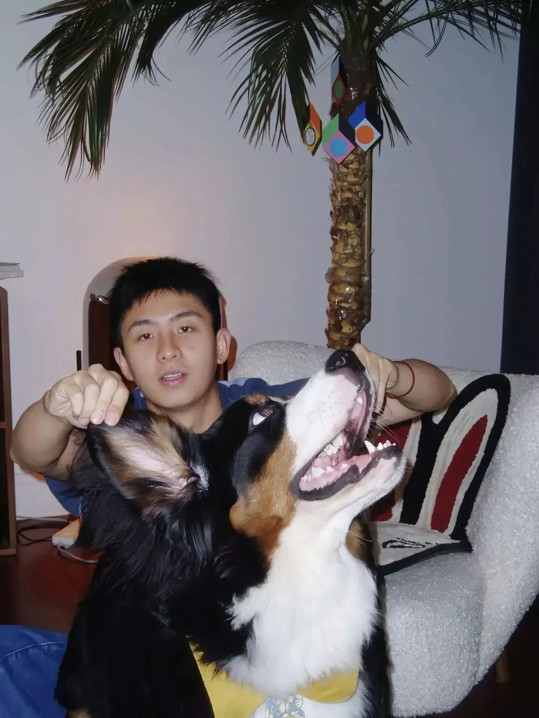 图片[7]-刷到焦迈奇吊威亚的照片！山东男人果然有实力！-小蓝短视频