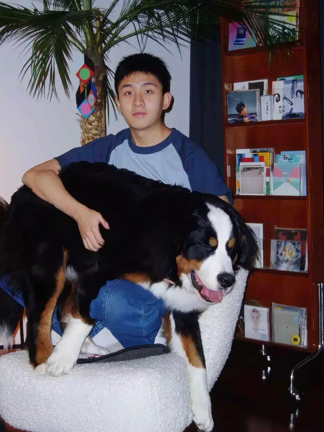 图片[5]-刷到焦迈奇吊威亚的照片！山东男人果然有实力！-小蓝短视频